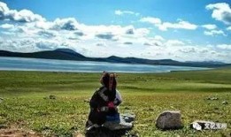 青草原在线观看,在线观看，感受自然之美